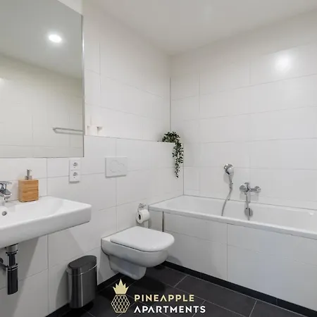 Pineapple Apartments Dresden Altstadt IV - 91 Qm - 1X Free Parking Exterior photo